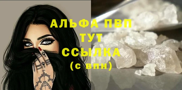 ГАЛЛЮЦИНОГЕННЫЕ ГРИБЫ Гусев