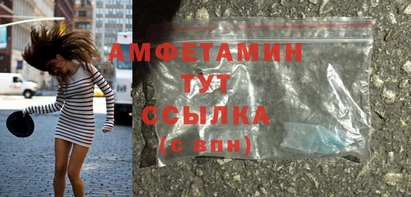 ГАЛЛЮЦИНОГЕННЫЕ ГРИБЫ Гусев