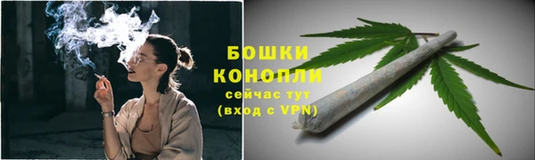 ГАЛЛЮЦИНОГЕННЫЕ ГРИБЫ Гусев
