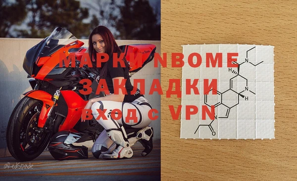ГАЛЛЮЦИНОГЕННЫЕ ГРИБЫ Гусев