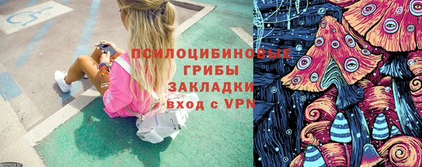 PSILOCYBIN Дмитриев