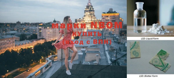 ГАЛЛЮЦИНОГЕННЫЕ ГРИБЫ Гусев